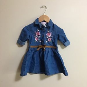 Little Lass Baby Girl Dress